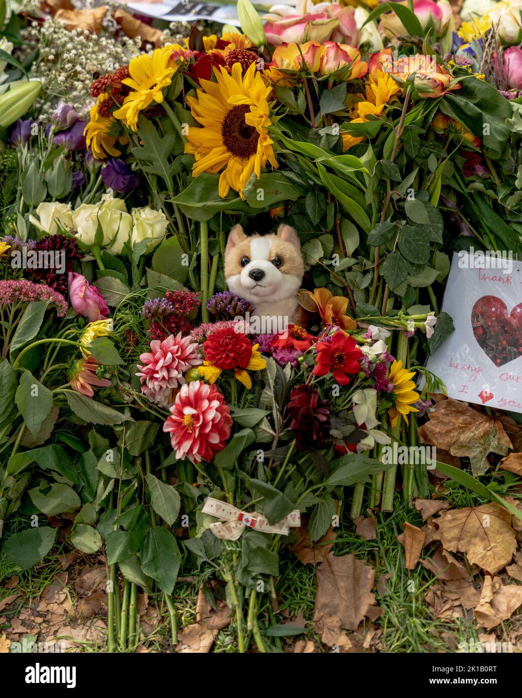 Un sugi imbottito circondato da fiori al tributo floreale alla regina Elisabetta 2 Foto Stock