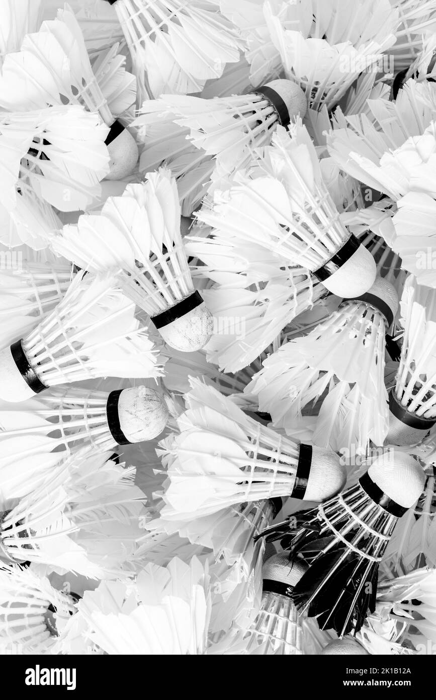 Molti shuttlecock per badminton gioco, sfondo sportivo. Foto Stock