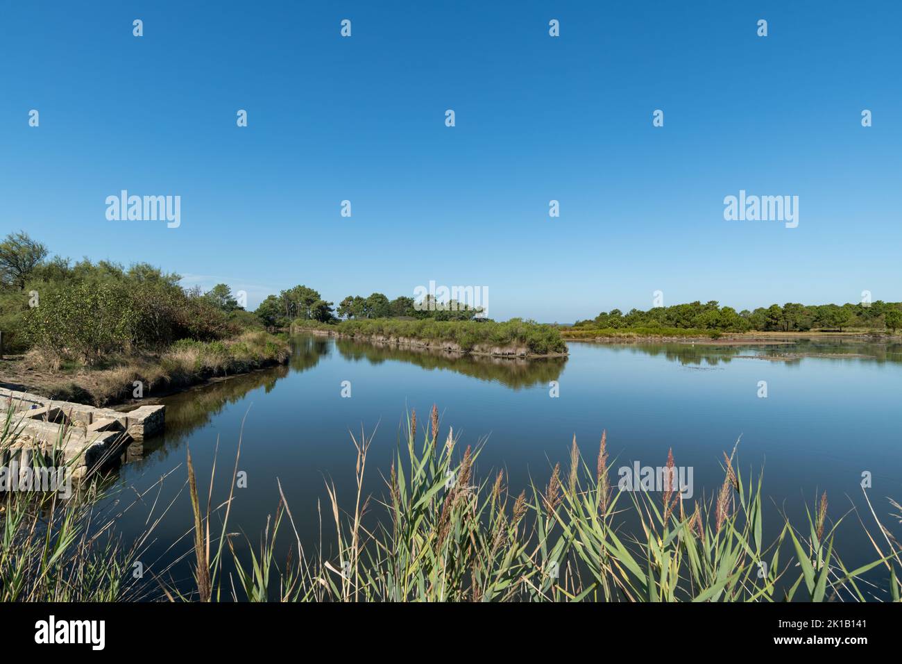 Andernos (baia di Arcachon, Francia). L'area naturale di Saint Brice Les Quinconces Foto Stock