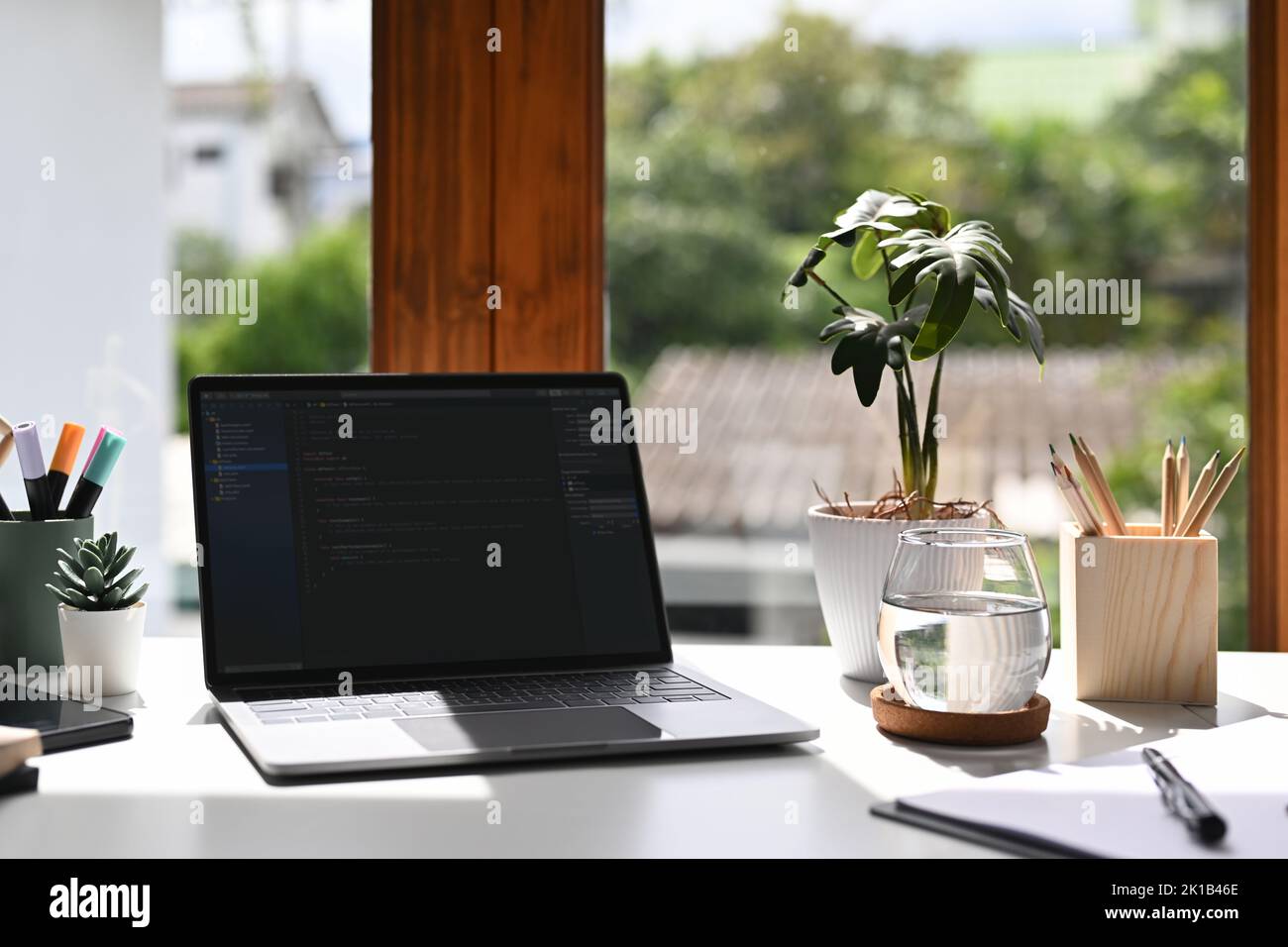 Computer portatile con codice di programmazione sullo schermo del computer, cancelleria e piante in vaso su tavolo bianco Foto Stock