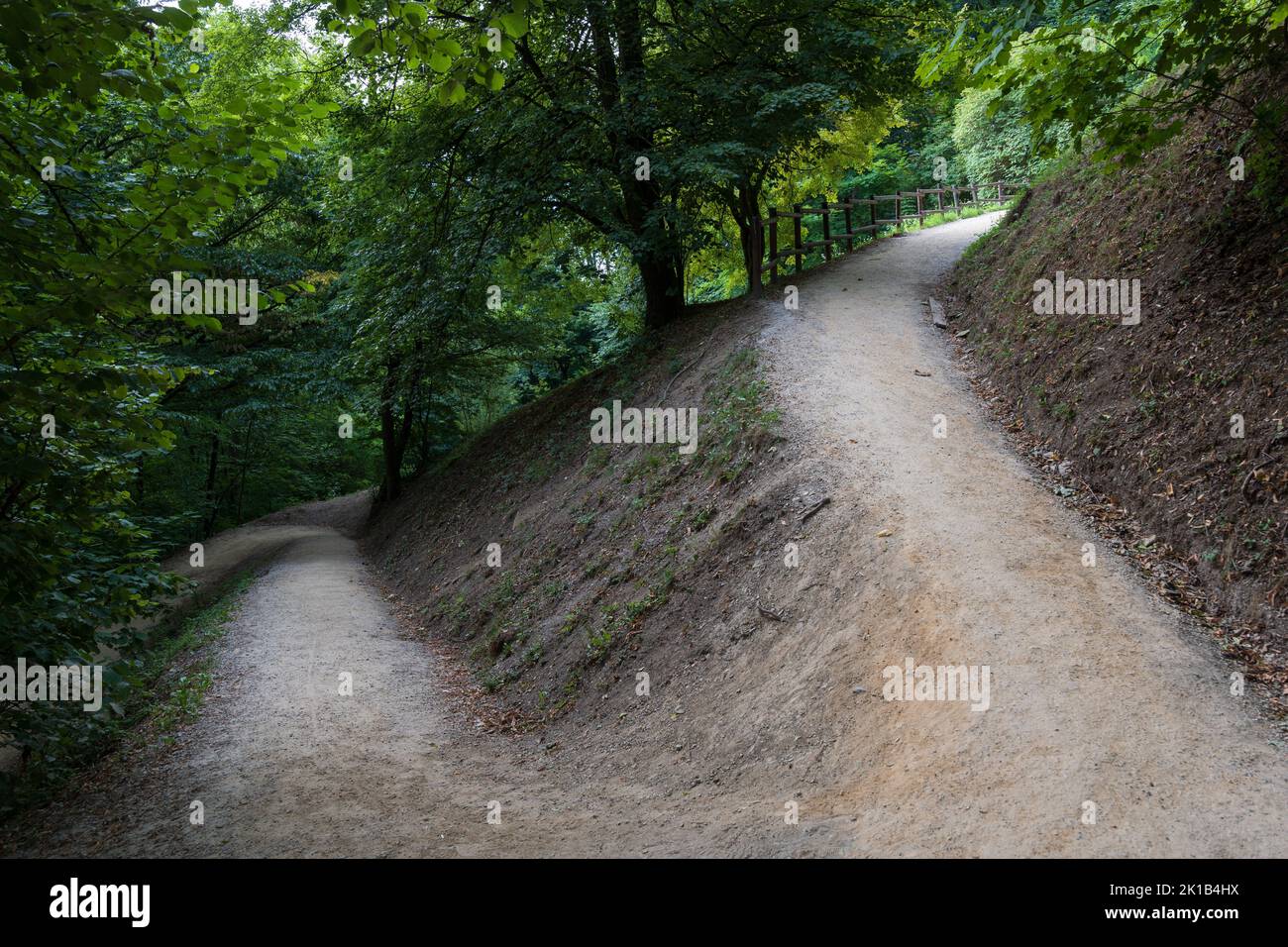 Viale sul pendio del Castello di collina fiancheggiata da alberi a Lubiana, Slovenia. Foto Stock