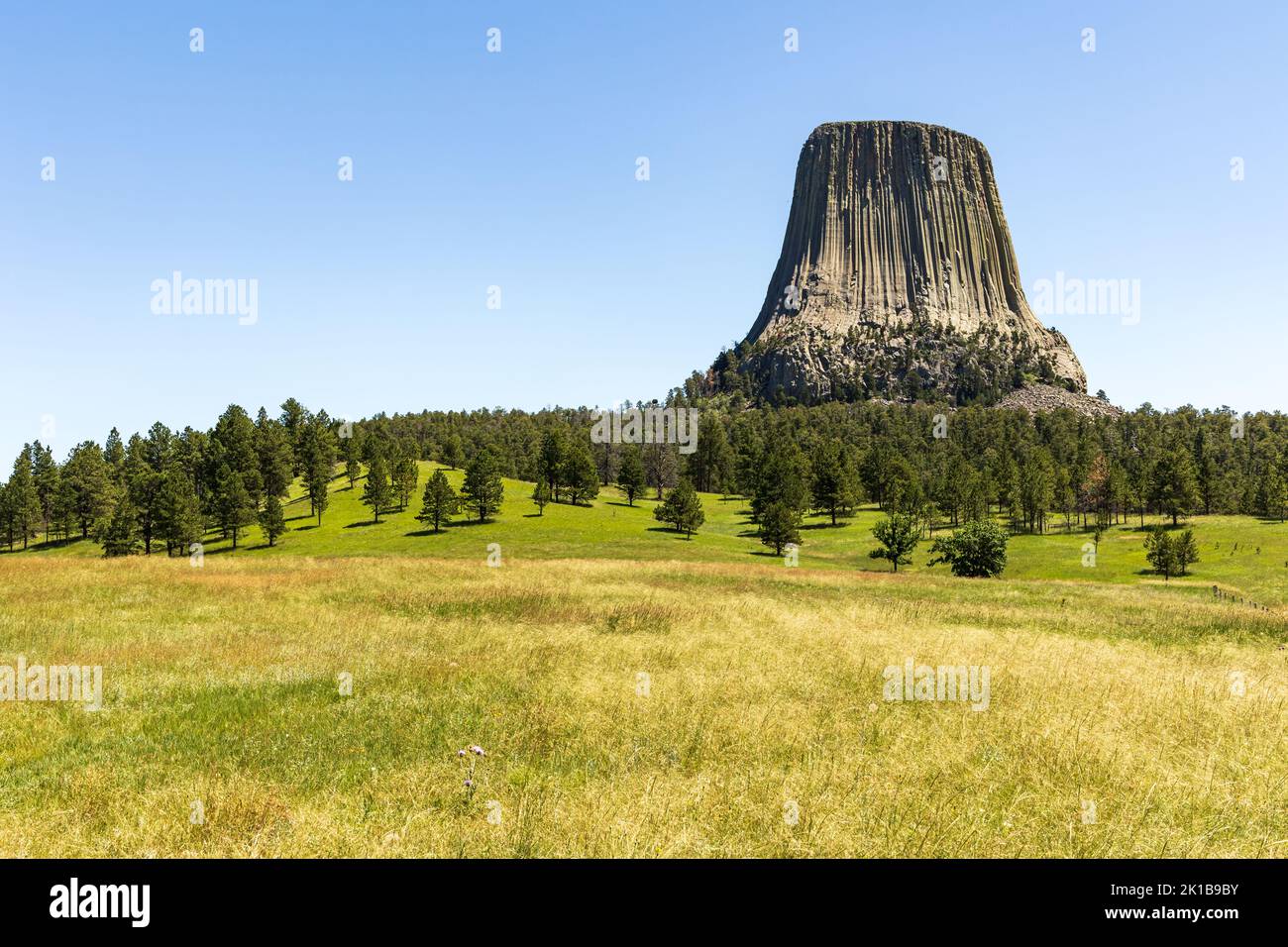 Devils Tower che sorge sopra il paesaggio circostante, Wyoming, USA Foto Stock