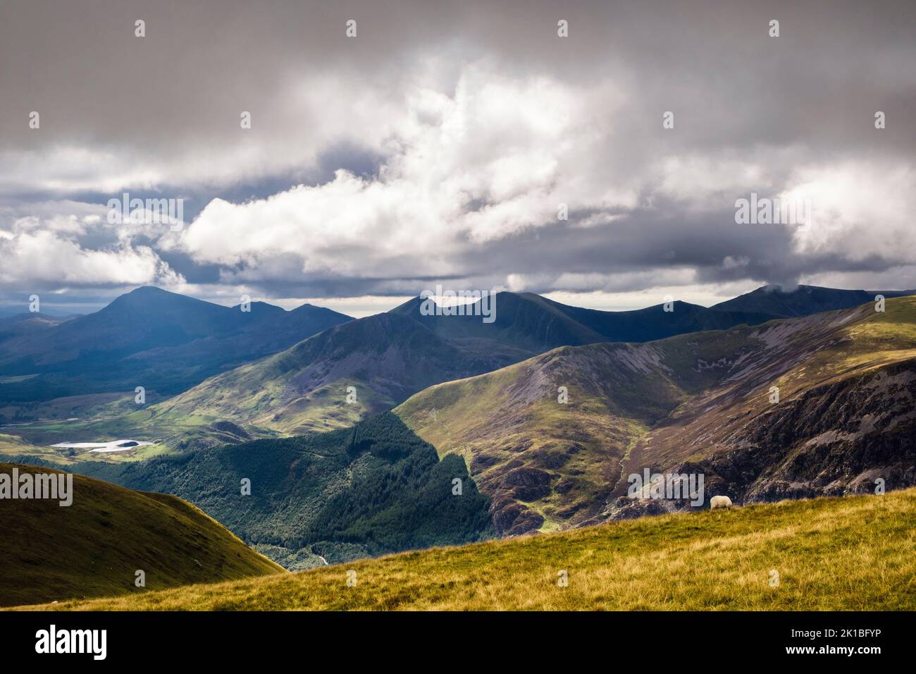Vista sulla foresta di Beddgelert fino alla catena montuosa di Nantlle Ridge da Moel Eilio nel Parco Nazionale di Snowdonia. Llanberis, Gwynedd, Galles settentrionale, Regno Unito, Gran Bretagna Foto Stock