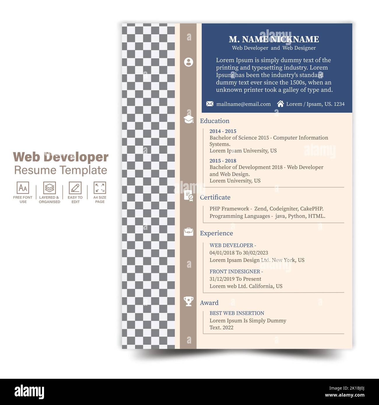 Web Developer Resume Template, CV design template per web designer Illustrazione Vettoriale
