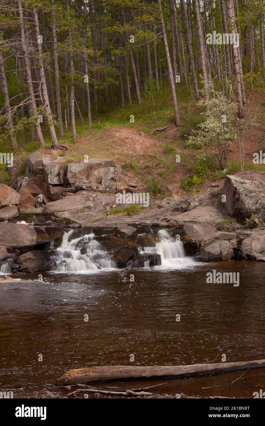 Amity Creek con cascata nel bosco Foto Stock