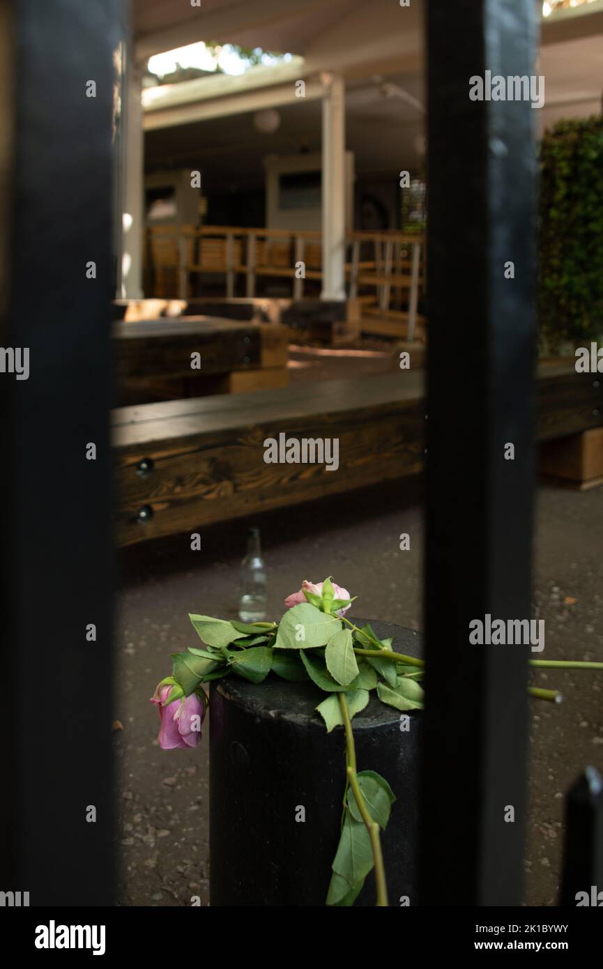 Londra, Regno Unito, 17th settembre 2022. Rose rosa omaggio alla Regina a Buckingam Palace. Cristina Massei/Alamy Live News Foto Stock