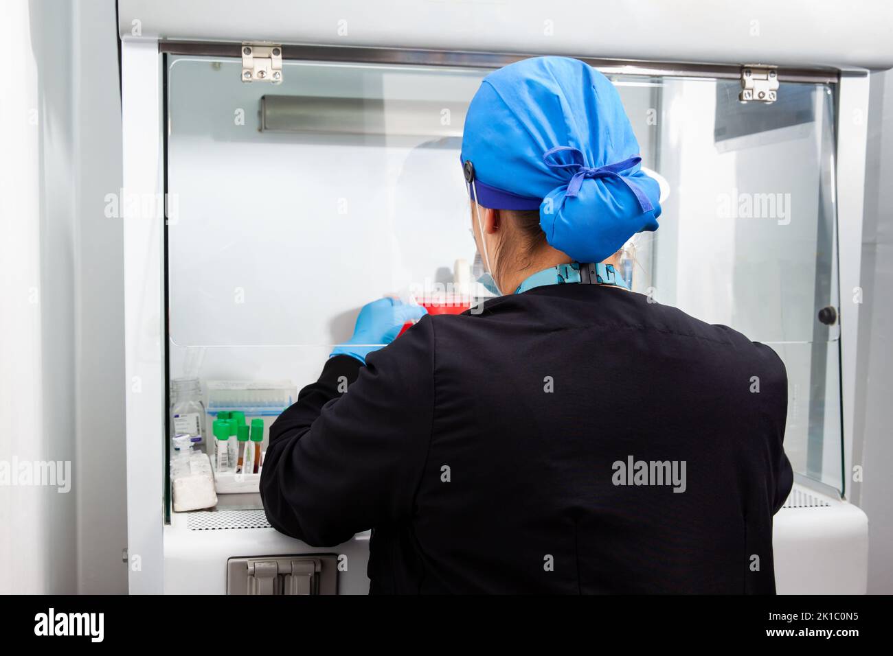 Giovane scienziata femminile che lavora in una cappa a flusso d'aria laminare di sicurezza presso il laboratorio Foto Stock