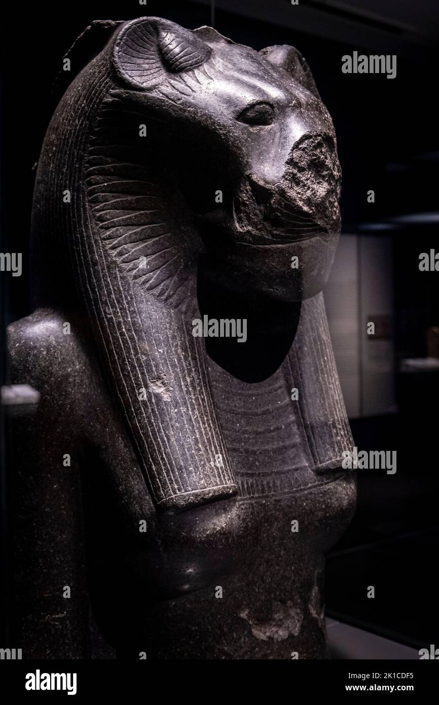 Frammento di una statua della dea Sekhmet, granito nero, 18th dinastia regnante Amenhotep III, Tempio di Mut, Karnak, Tebe, Egitto, Collezione del British Museum. Foto Stock