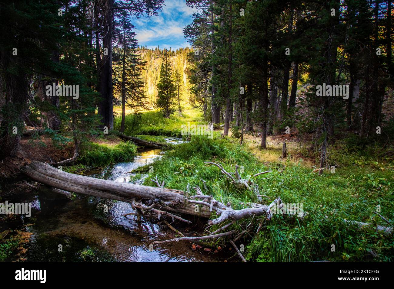 Hat Creek al Paradise Meadow nel Parco Nazionale vulcanico di Lassen - California del Nord, Stati Uniti. Foto Stock