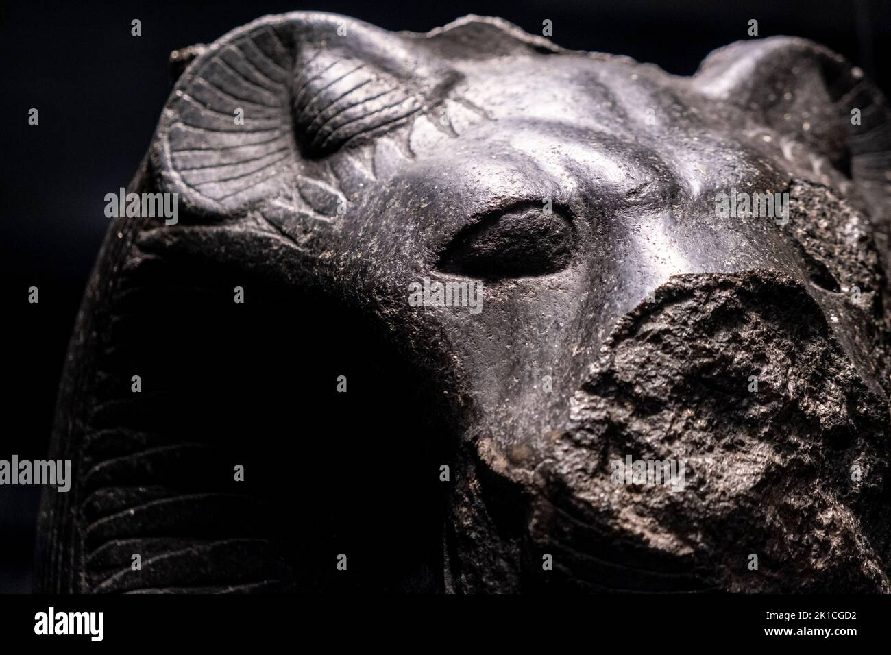 Frammento di una statua della dea Sekhmet, granito nero, 18th dinastia regnante Amenhotep III, Tempio di Mut, Karnak, Tebe, Egitto, Collezione del British Museum. Foto Stock