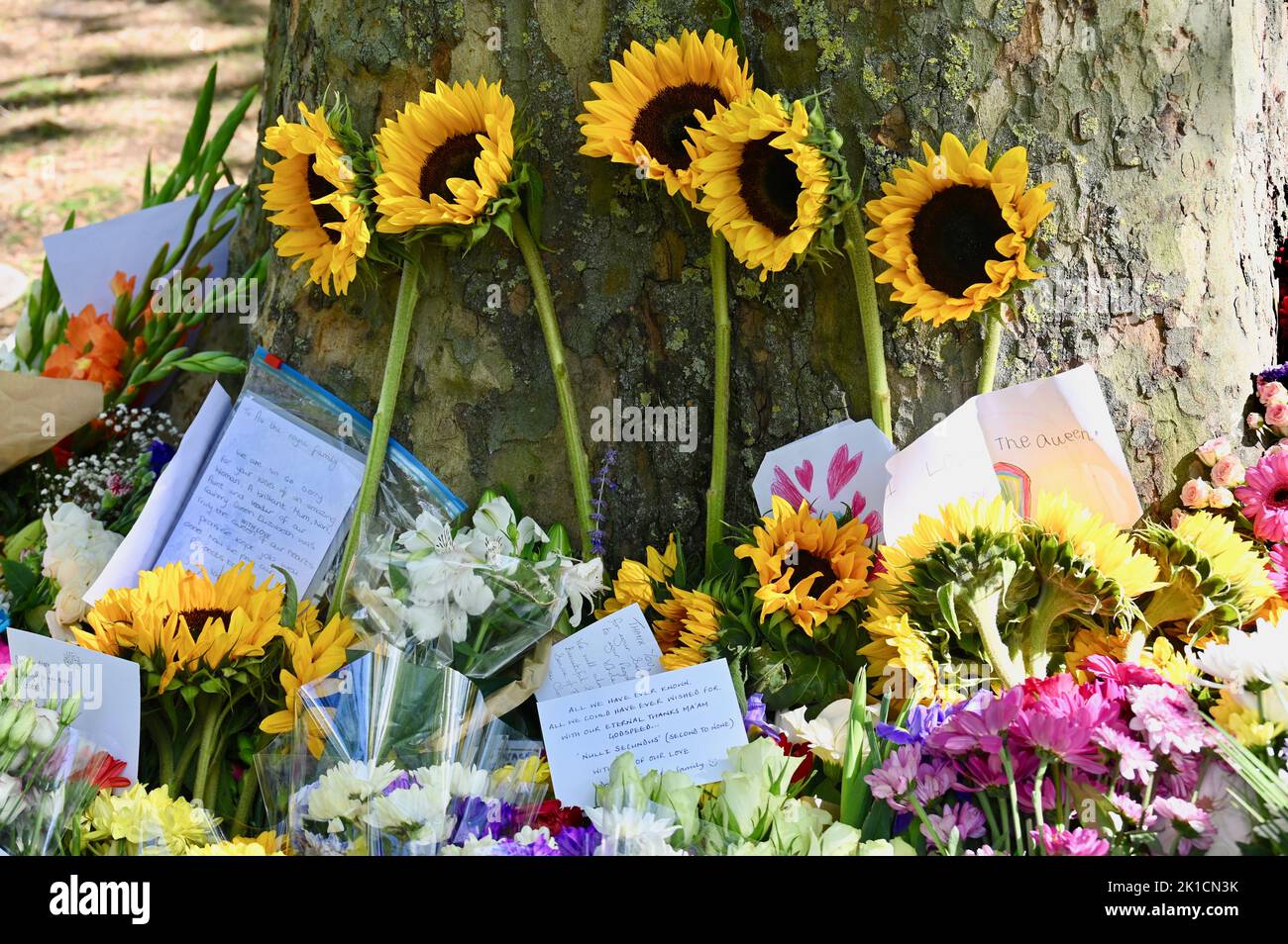 Londra, Regno Unito. I membri del pubblico continuarono a lasciare bouquet nei Parchi reali in omaggio alla Regina Elisabetta II Credit: michael melia/Alamy Live News Foto Stock