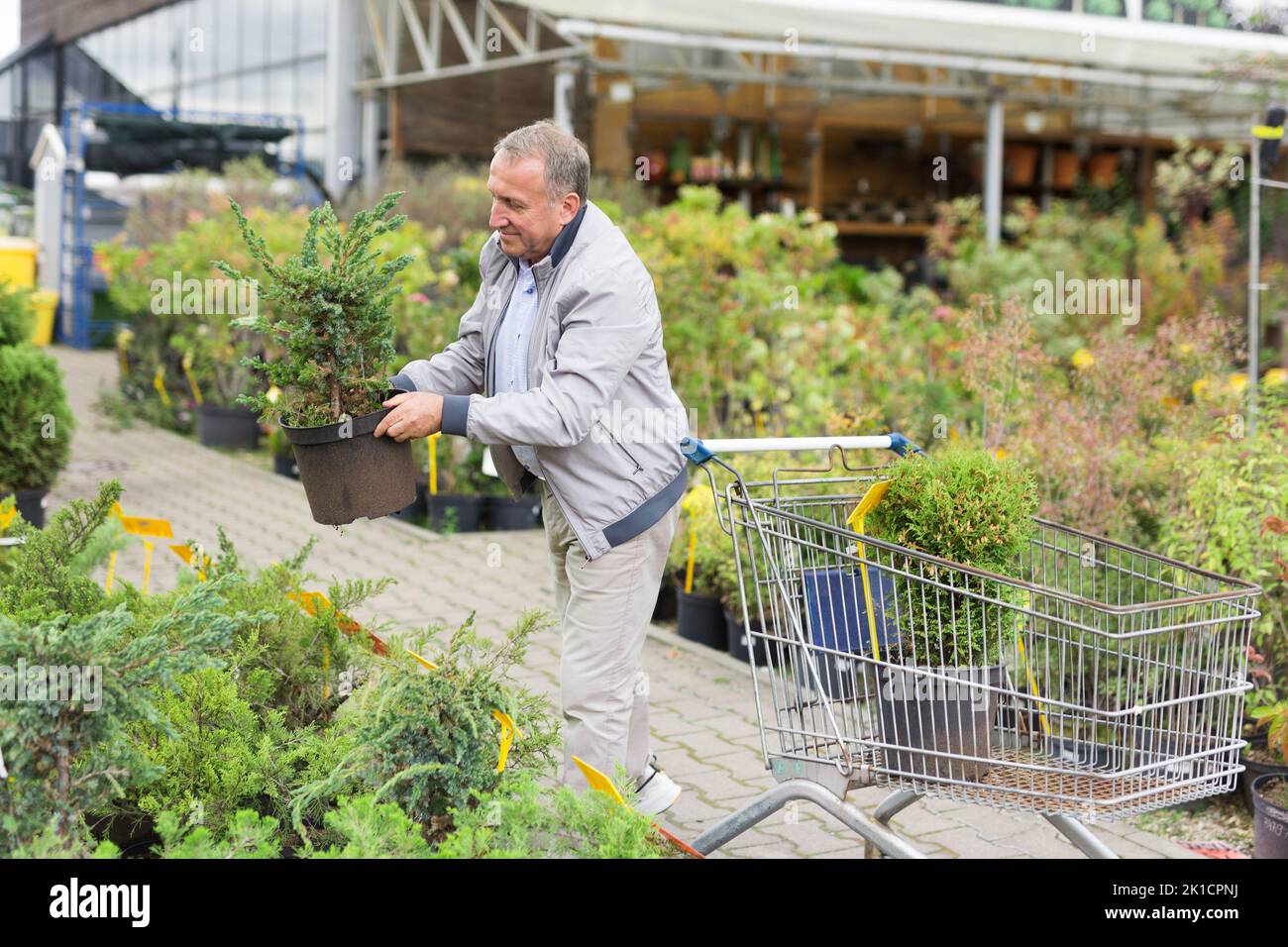 Shopping uomo di mezza età nel centro giardino Foto Stock