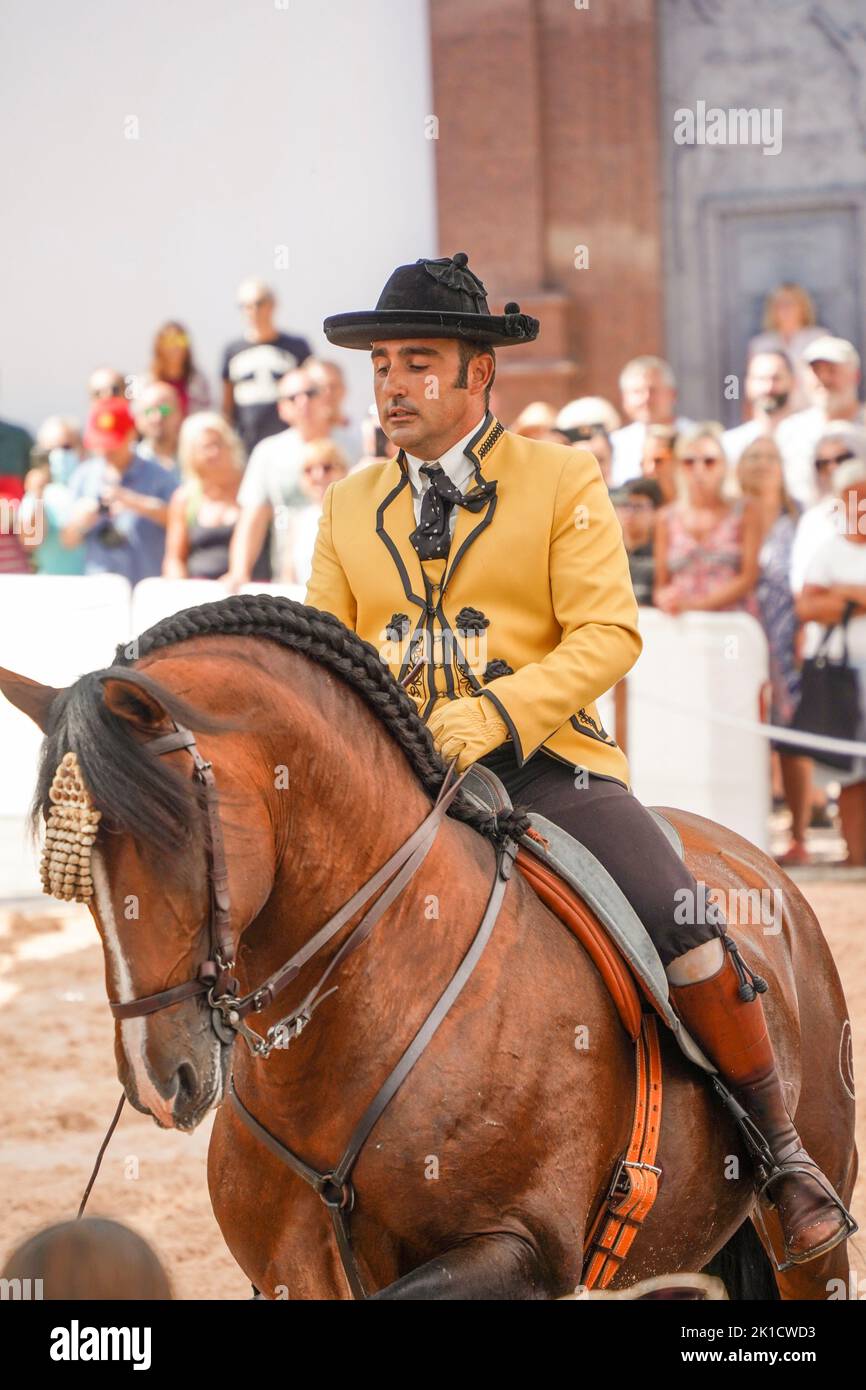 Uomo che esegue lo spettacolo di equitazione dressage spagnolo, durante la giornata annuale del cavallo. Fuengirola, Andalusia, Costa del Sol, Spagna. Foto Stock