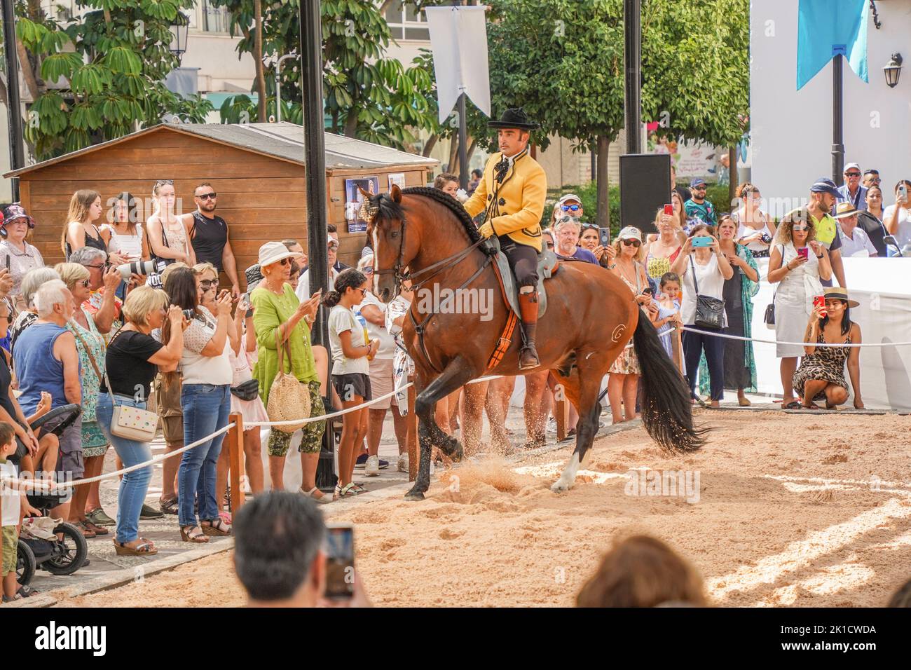 Uomo che esegue lo spettacolo di equitazione dressage spagnolo, durante la giornata annuale del cavallo. Fuengirola, Andalusia, Costa del Sol, Spagna. Foto Stock