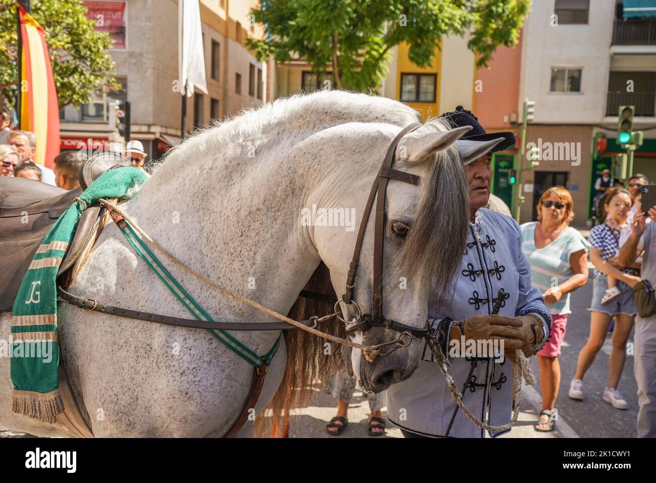 Uomo che esegue lo spettacolo di equitazione dressage spagnolo, durante la giornata annuale del cavallo. Fuengirola, Andalusia, Costa del Sol, Spagna. Foto Stock