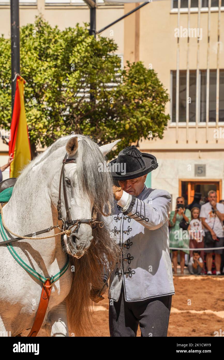 Uomo che esegue lo spettacolo di equitazione dressage spagnolo, durante la giornata annuale del cavallo. Fuengirola, Andalusia, Costa del Sol, Spagna. Foto Stock