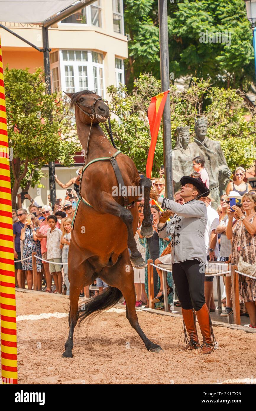Uomo che esegue lo spettacolo di equitazione dressage spagnolo, durante la giornata annuale del cavallo. Fuengirola, Andalusia, Costa del Sol, Spagna. Foto Stock