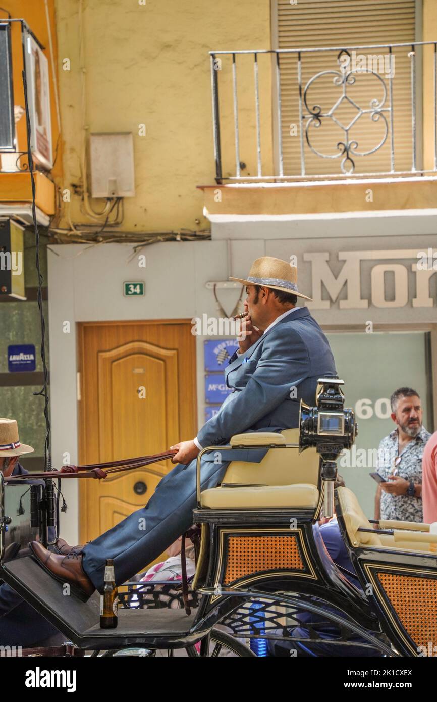 Spagnolo con cappello fumando un sigaro su una carrozza a cavallo, giornata annuale del cavallo. Fuengirola, Andalusia, Costa del Sol, Spagna. Foto Stock