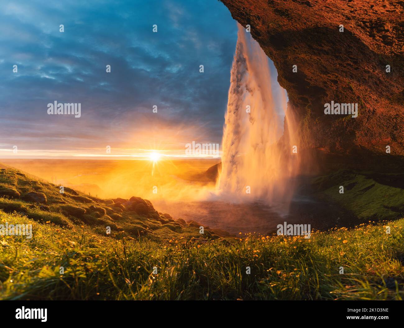 Panorama della bella cascata Seljalandsfoss che scorre e tramonto di mezzanotte splendente sul giardino fiorito in estate a sud dell'Islanda Foto Stock