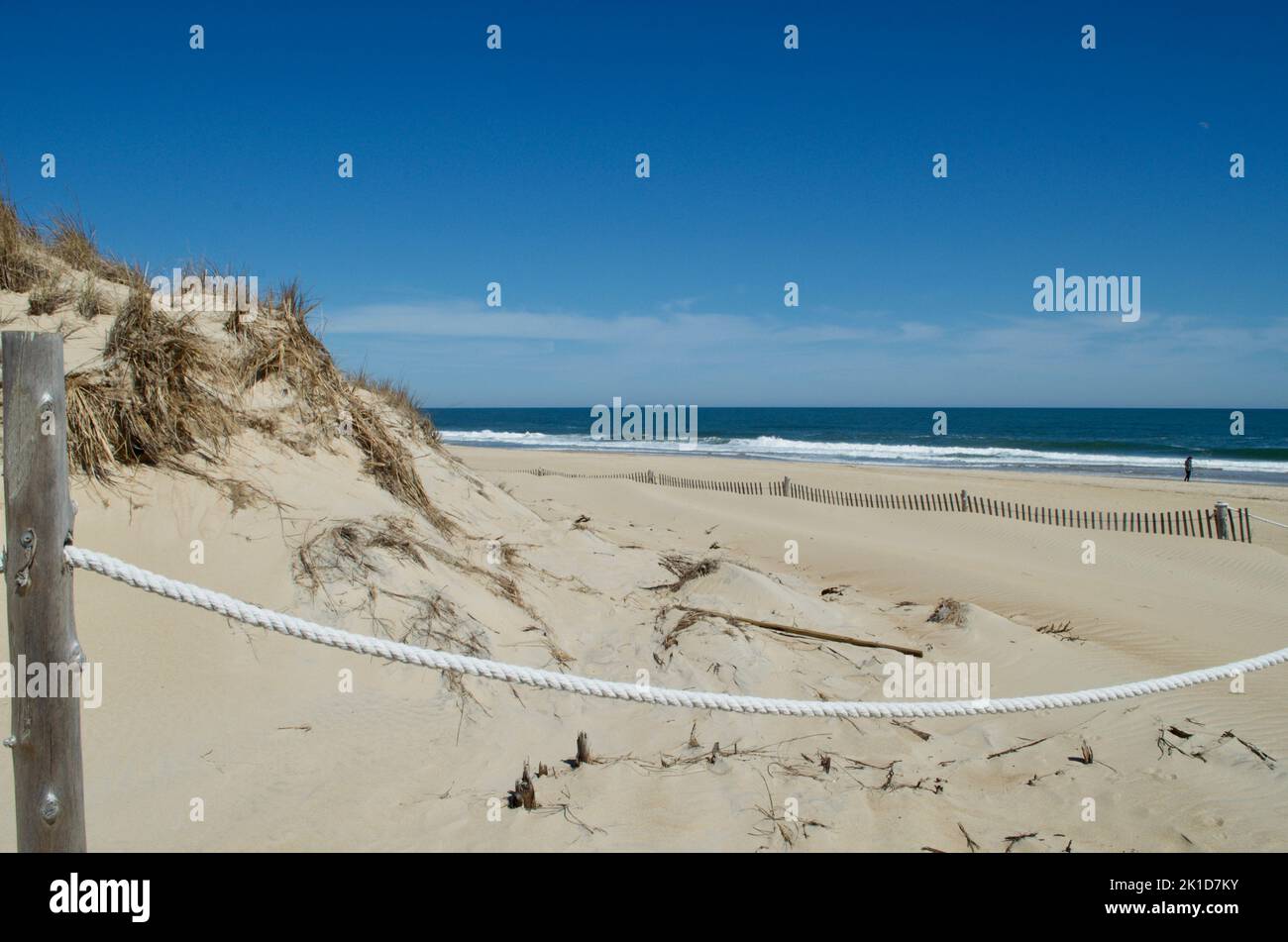 Dune di Delaware Beach Foto Stock