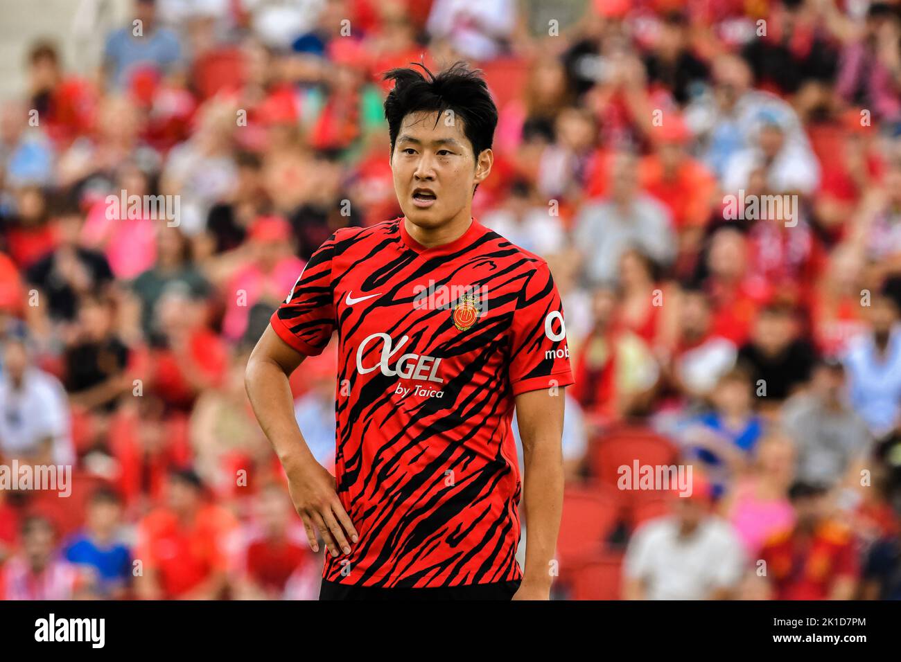 MALLORCA, SPAGNA - 17 SETTEMBRE: Kang a Lee di RCD Mallorca durante la partita tra RCD Mallorca e Almeria CF di la Liga Santander il 17 settembre 2022 presso Visit Mallorca Stadium Son Moix a Mallorca, Spagna. (Foto di Samuel Carreño/PxImages) Foto Stock