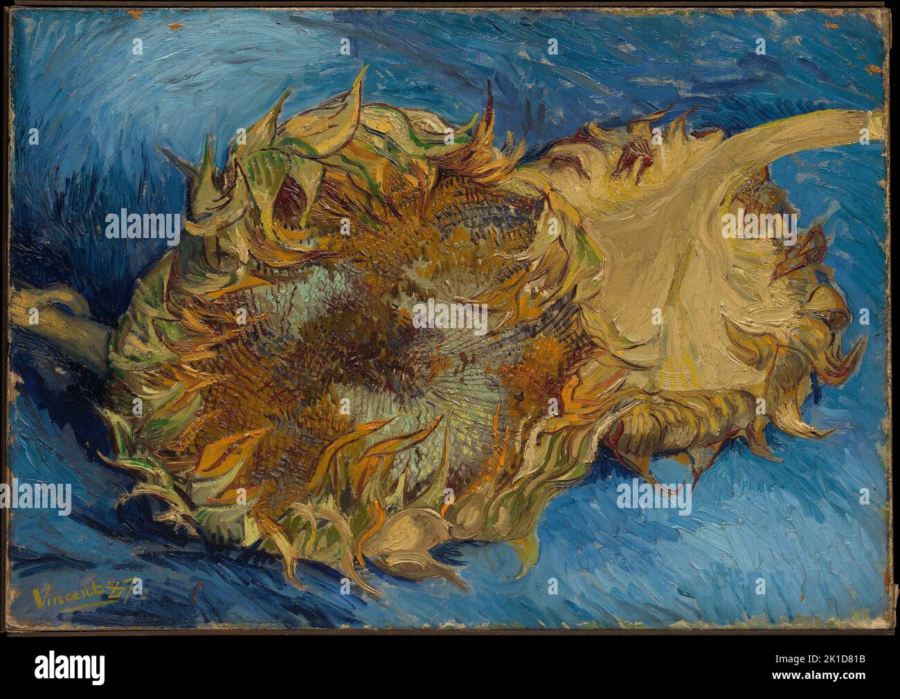 Girasoli. Vincent van Gogh. 1887. Foto Stock