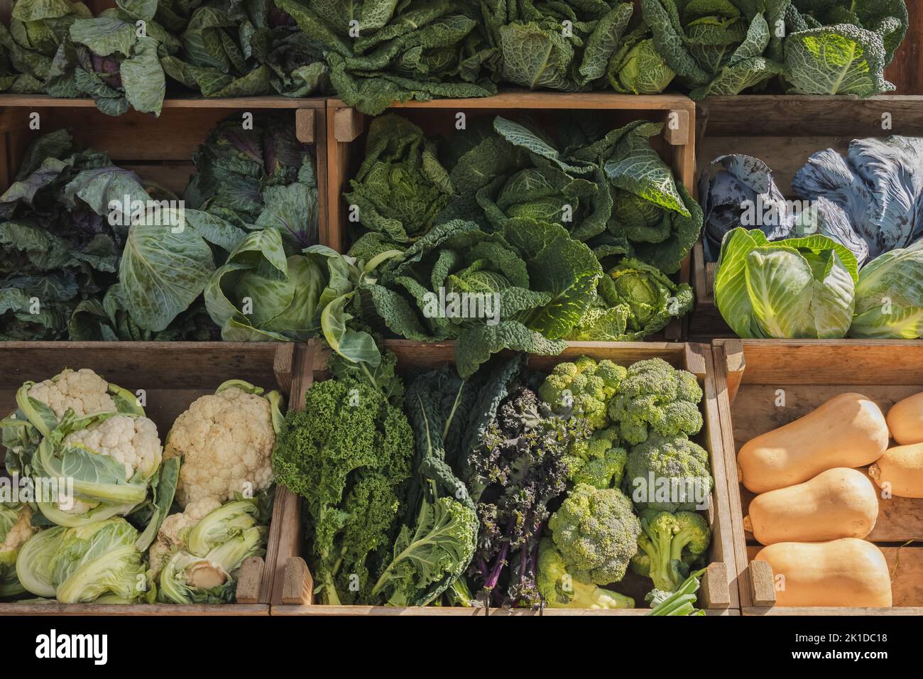Freschi, biologici, prodotti di verdure a foglia verde, e zucca di butternut in esposizione presso un mercato agricolo rurale all'aperto in Scozia, Regno Unito. Foto Stock