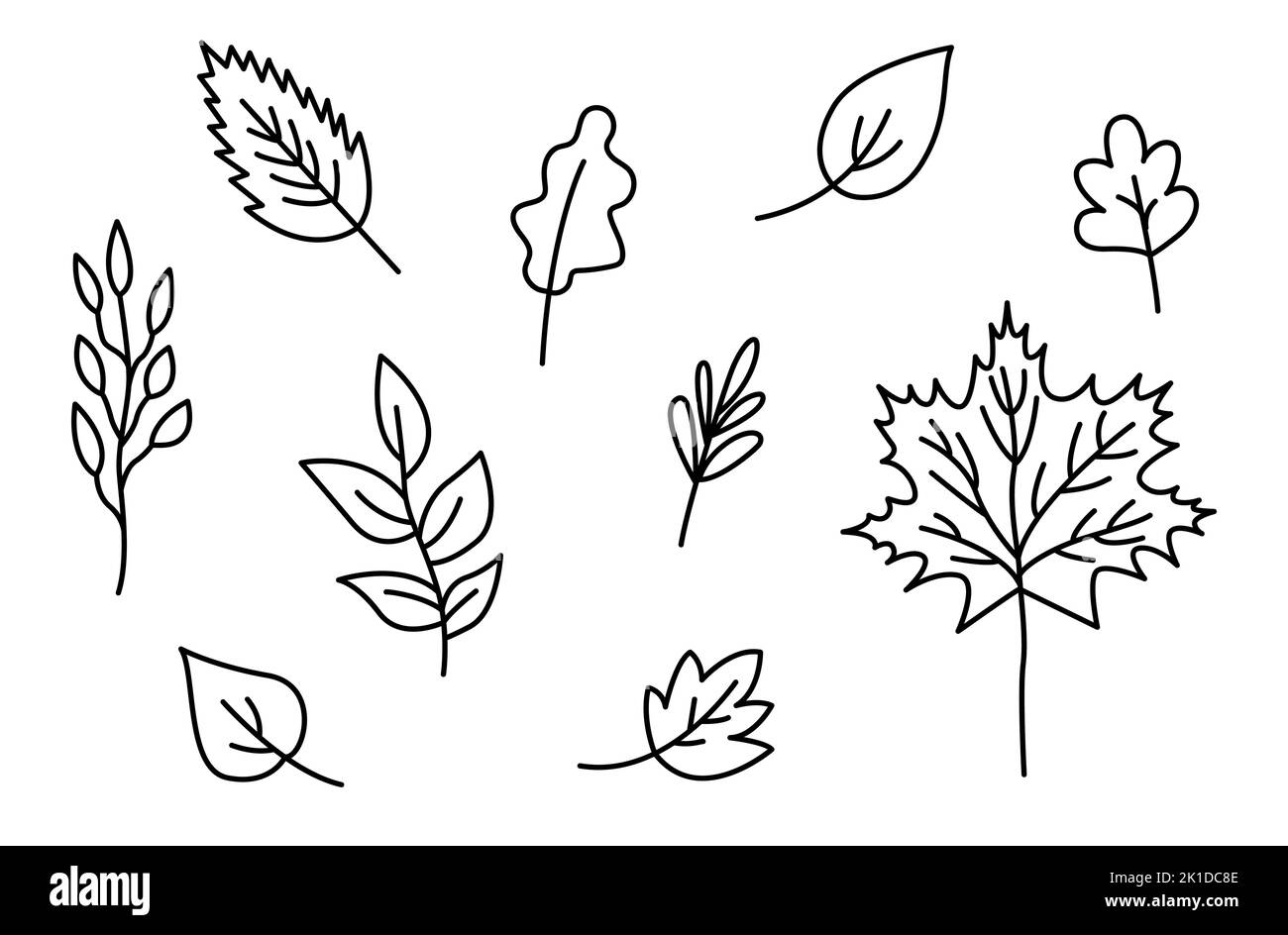 Autunno foglie contorno set. Diversi tipi di foglie cadute collezione autunno. Contorno nero isolato su sfondo bianco. Disegnato a mano carino lineur ve Illustrazione Vettoriale