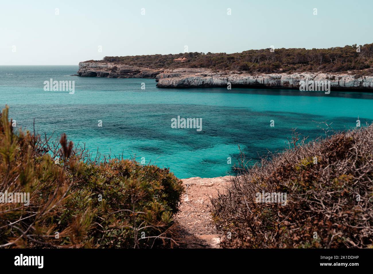 Un bel mare con scogliere boscose Foto Stock