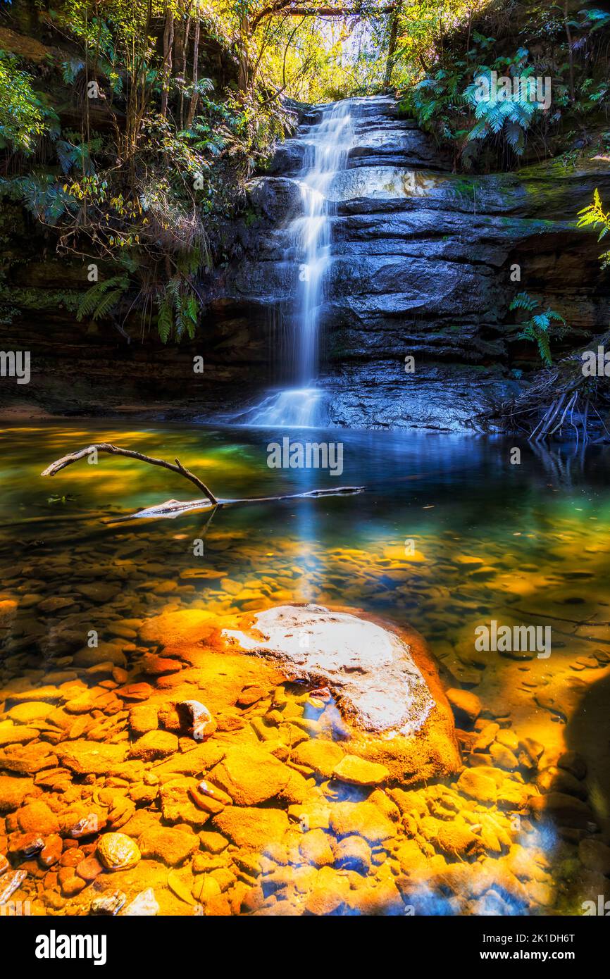 La spettacolare cascata Gordon cade nelle Blue Mountains dell'Australia che scendono fino alla piscina di Siloam. Foto Stock