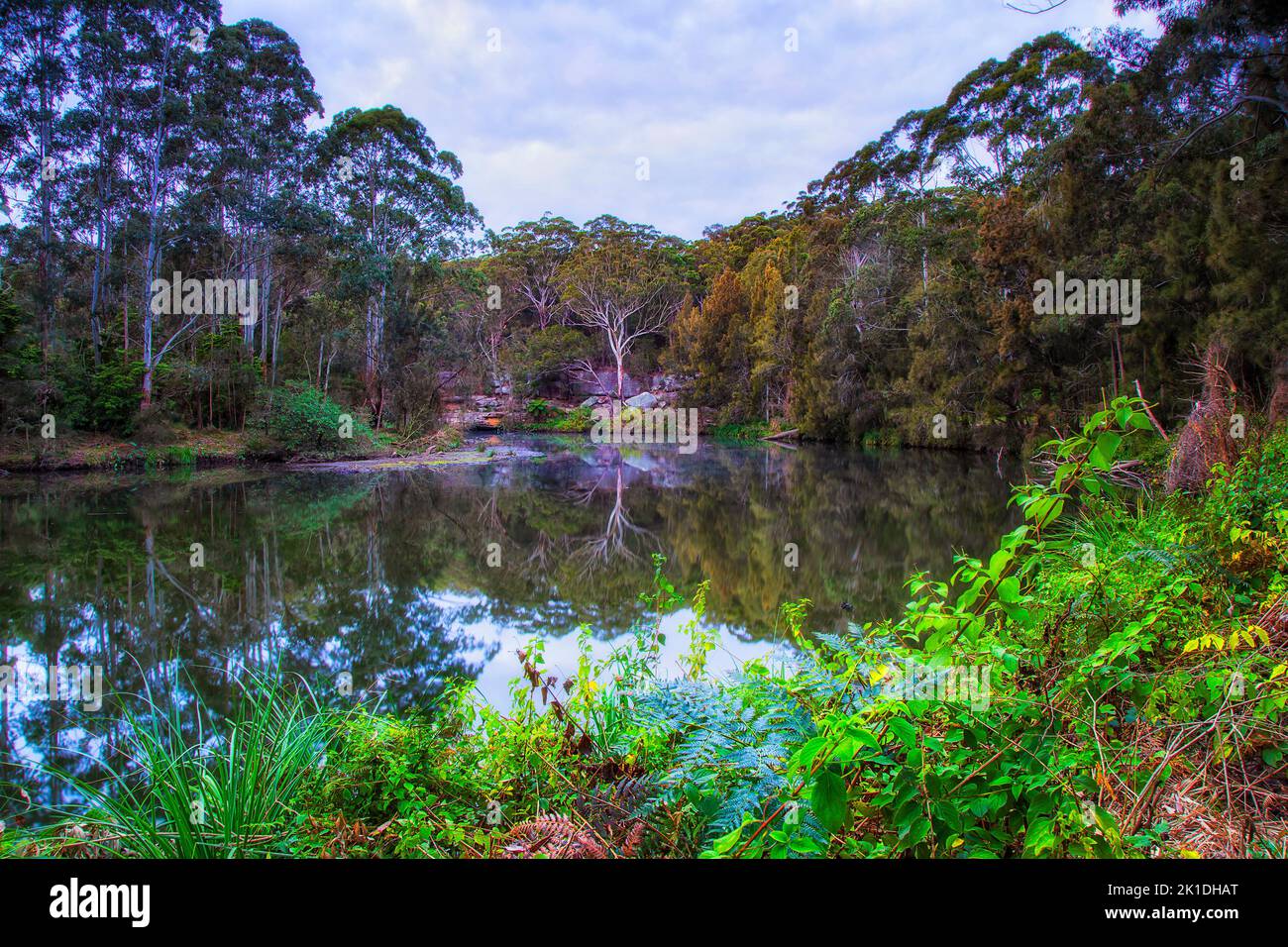 Il fiume e il parco nazionale di Sydney sono coperti da una corsia, un paesaggio all'alba dalla natura tranquilla. Foto Stock