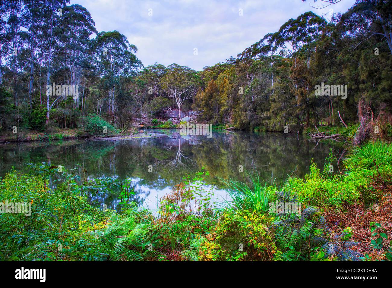 Panoramica verde Lane insenatura fiume nel parco nazionale di Sydney, Australia - vegetazione lussureggiante. Foto Stock