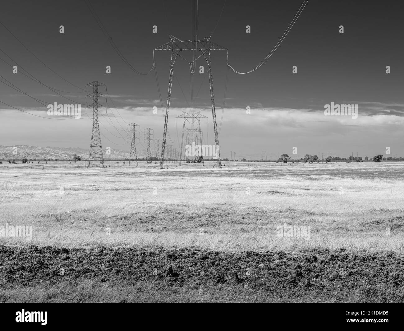 Tower Pylons', linee elettriche che ronziano l'energia elettrica ad alta tensione sul campo, Fairfield, California Foto Stock
