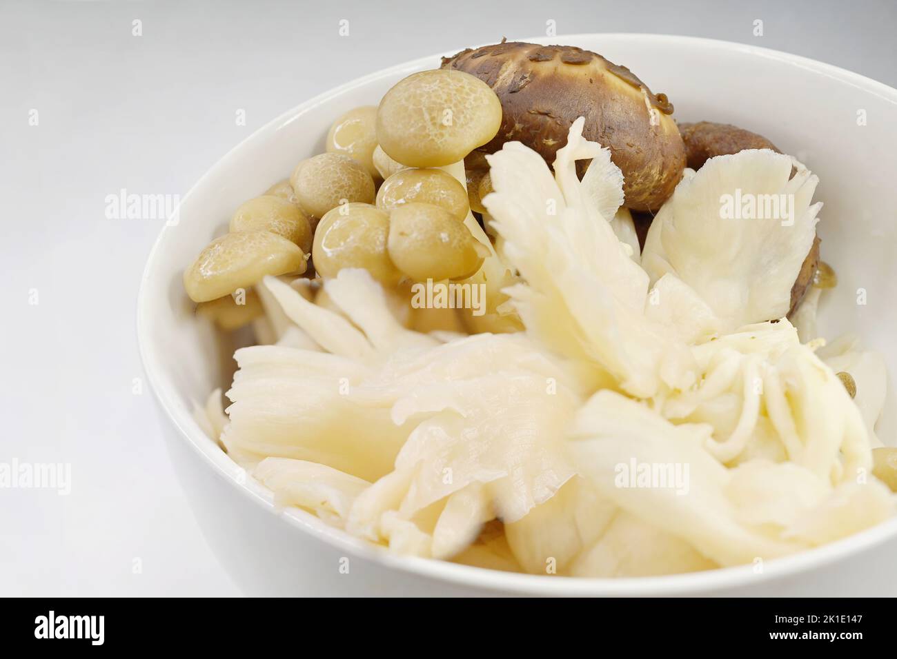 I funghi commestibili sono i corpi di frutta carnosi e commestibili di diverse specie di macrofunghi e comprendono molte specie fungine che sono o raccolti wil Foto Stock