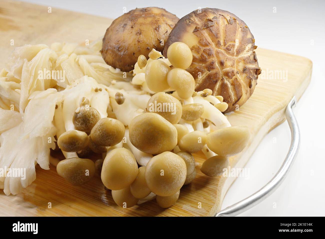 I funghi commestibili sono i corpi di frutta carnosi e commestibili di diverse specie di macrofunghi e comprendono molte specie fungine che sono o raccolti wil Foto Stock