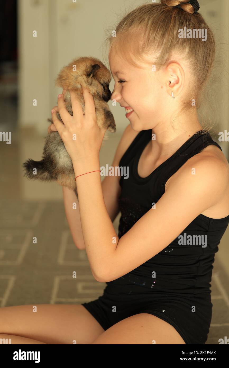 Adorabile cucciolo pomeranian nelle mani del proprietario. Ritratto di poco Foto Stock