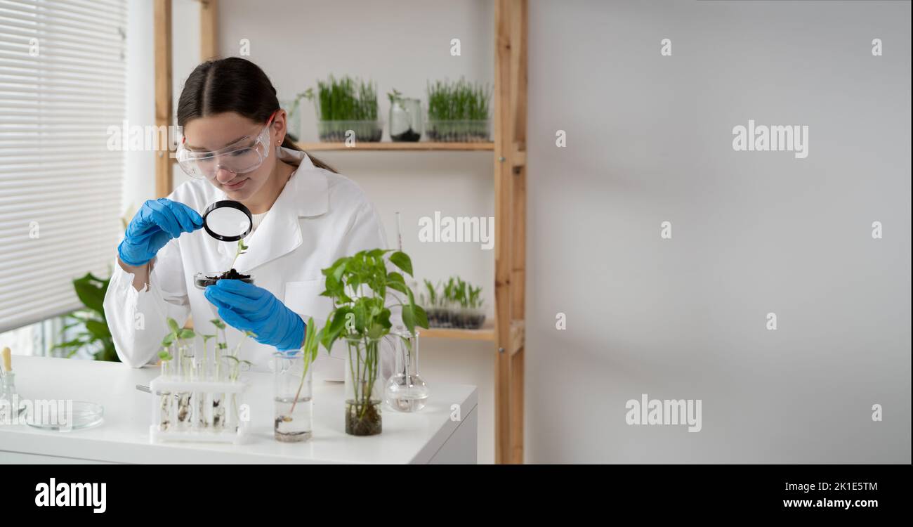 Donna scienziata in laboratorio sta conducendo esperimenti, test con piante in piatto di Petri. Biotecnologist è alla ricerca di foglie con lente di ingrandimento. Co. OGM Foto Stock