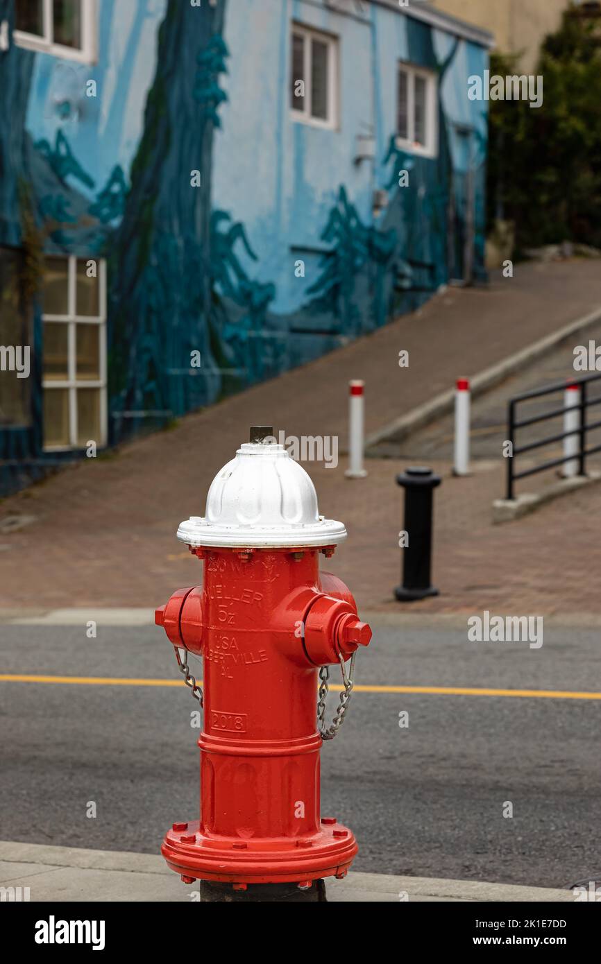 Idrante rosso fuoco su una strada di una città di White Rock BC Canada. Idrante antincendio per l'accesso antincendio di emergenza-settembre 15,2022. Foto di strada, nessuno, selettivo Foto Stock