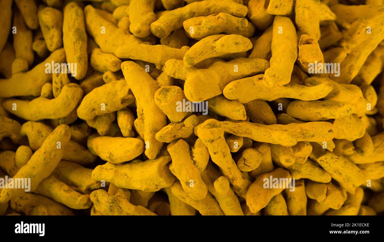 radice di curcuma essiccata cruda. Cumulo di curcimine curcuma. Palo di radice essiccata di curcuma isolato. Foto Stock