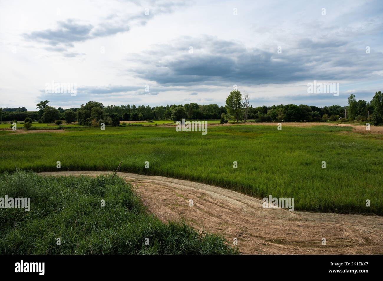 Campi agricoli e prati verdi contro il cielo blu presso la riserva naturale Doode Beemde, Oud-Heverlee, Belgio Foto Stock