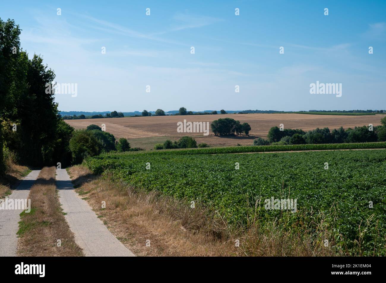 Strada attraverso le colline dei campi agricoli sul cielo blu, Hoegaarden, Belgio Foto Stock