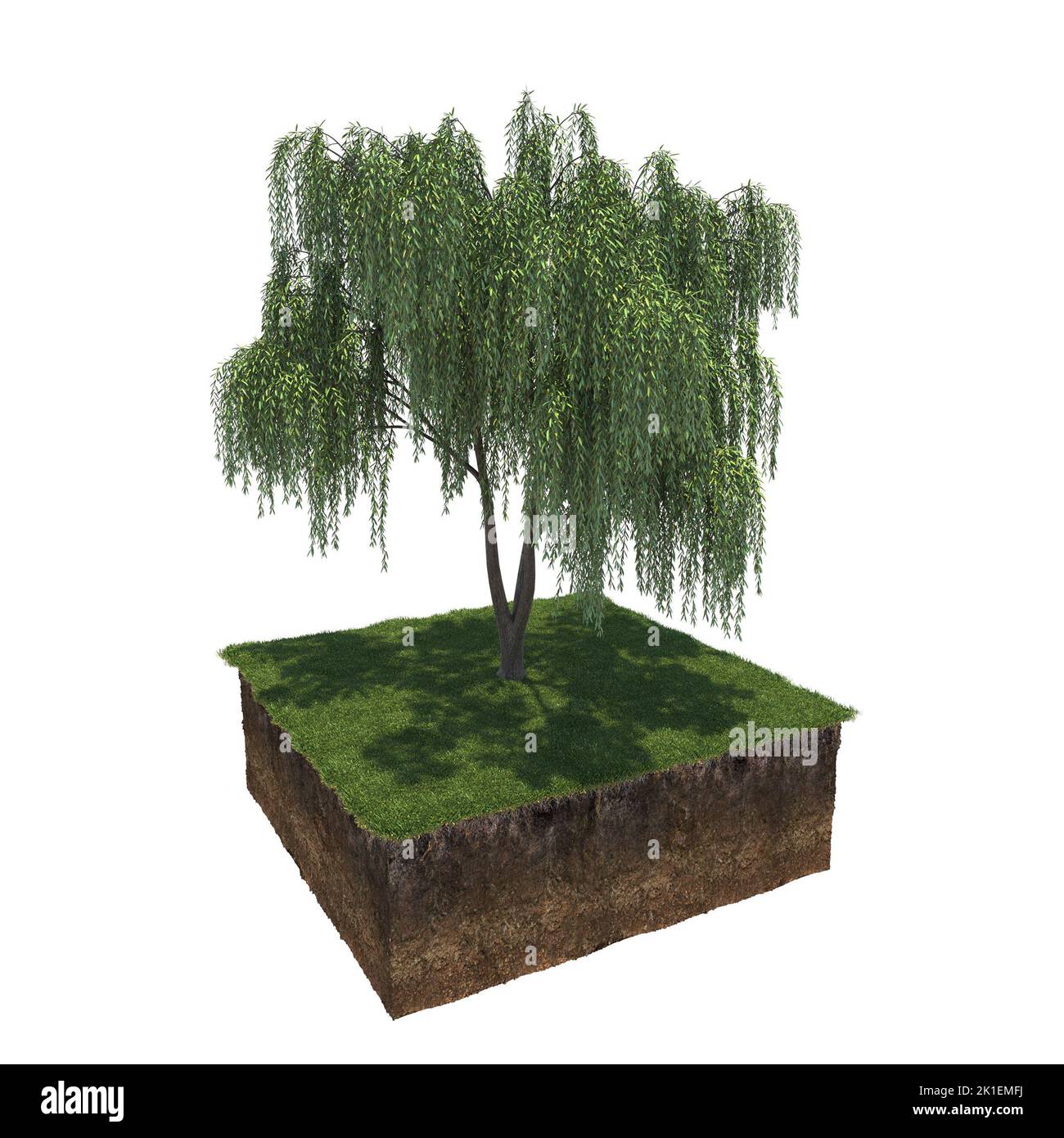 albero sull'erba e una fetta di terreno sotto di esso, 3d render Foto Stock