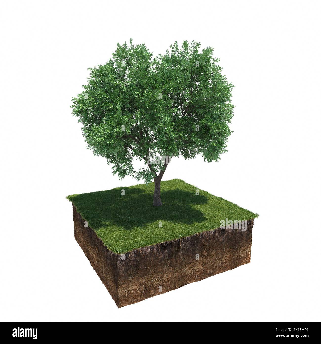 albero sull'erba e una fetta di terreno sotto di esso, 3d render Foto Stock