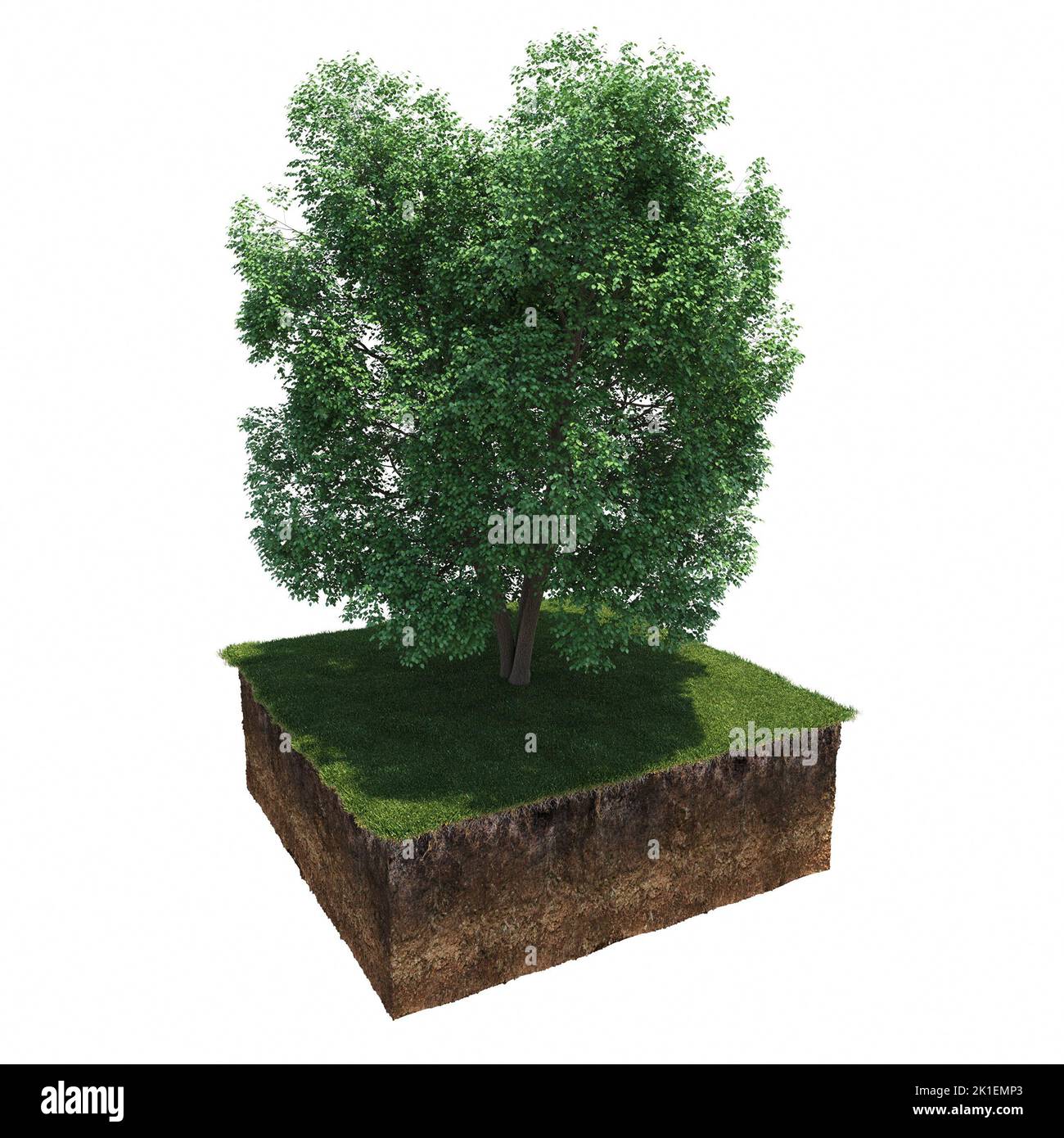 albero sull'erba e una fetta di terreno sotto di esso, 3d render Foto Stock