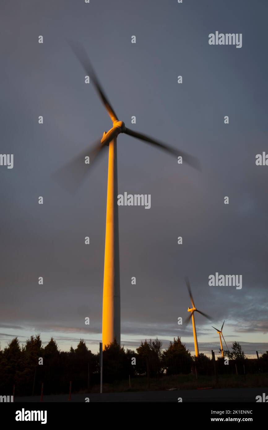 Turbina eolica vicino a Woodville, distretto di Tararua, Isola del Nord, Nuova Zelanda Foto Stock