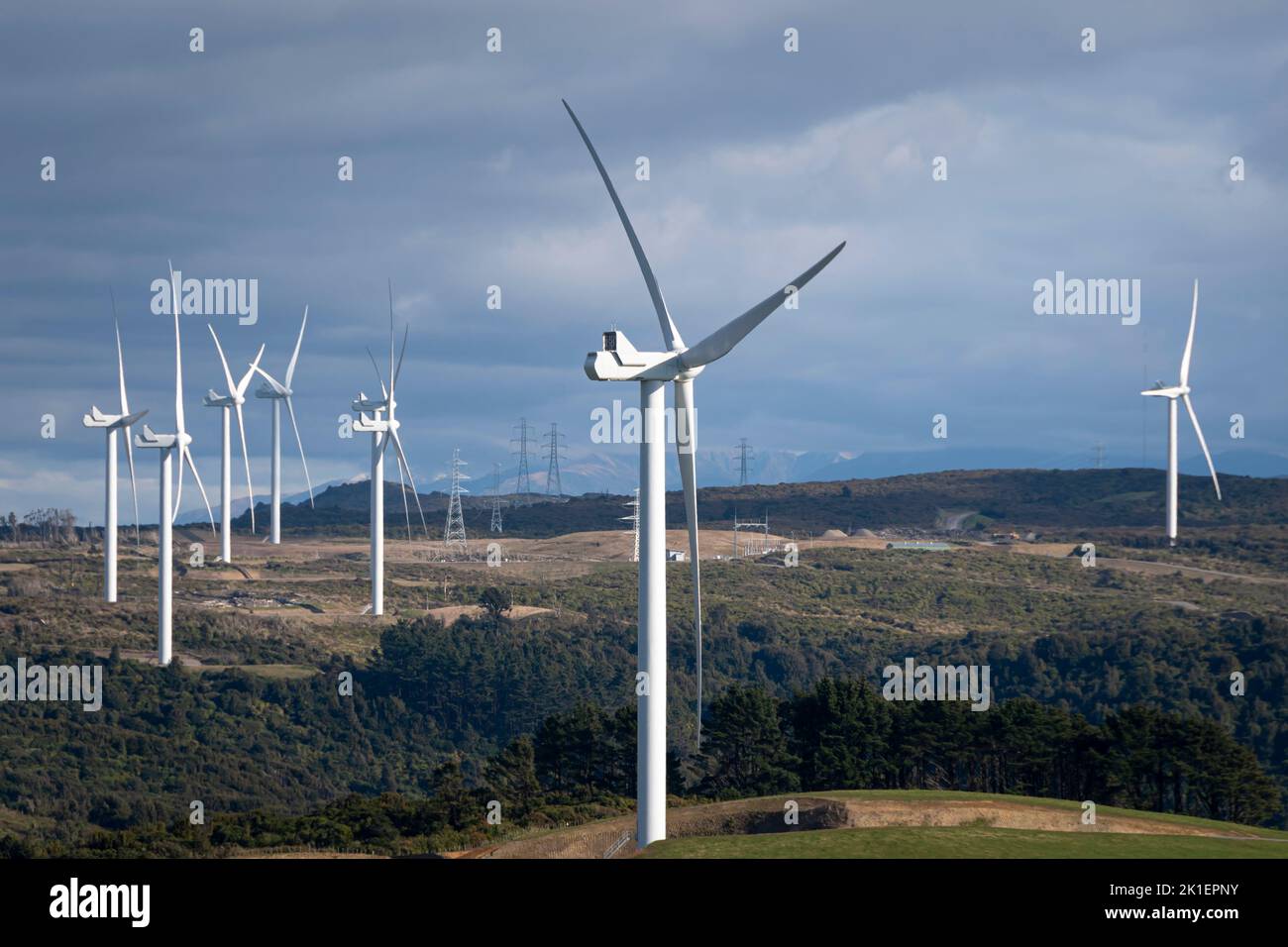 Turbina eolica vicino a Woodville, distretto di Tararua, Isola del Nord, Nuova Zelanda Foto Stock