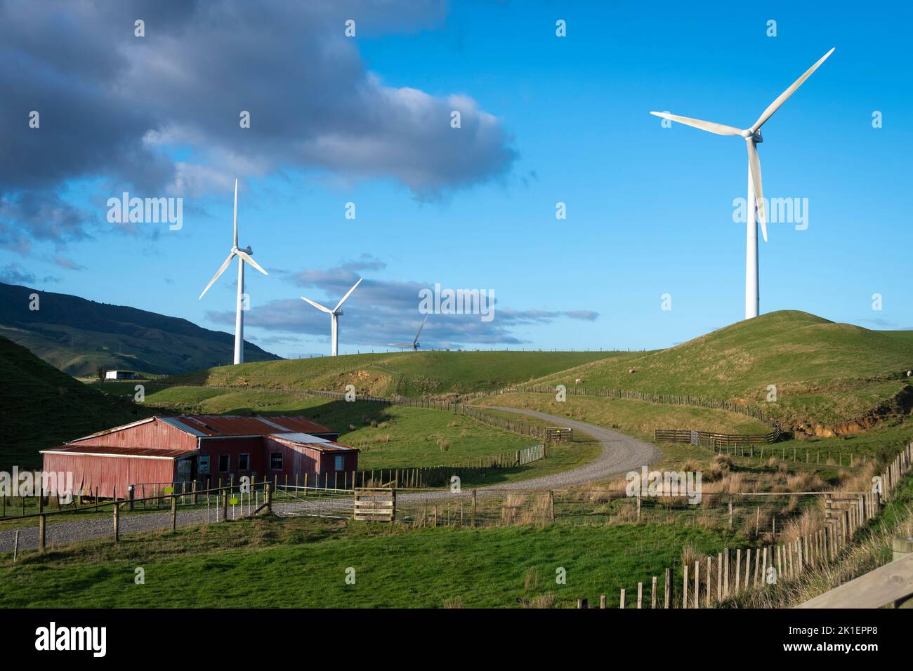 Turbina eolica vicino a Woodville, distretto di Tararua, Isola del Nord, Nuova Zelanda Foto Stock