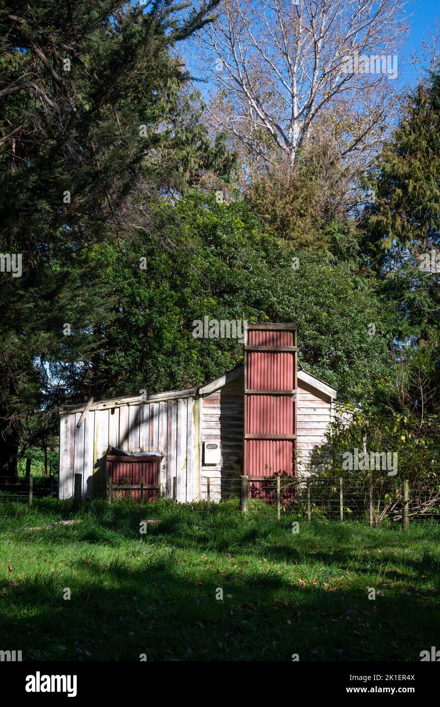 Vecchio cottage con camino di ferro ondulato, circondato da alberi, Pohanina Valley, Manawatu, Isola del Nord, Nuova Zelanda Foto Stock