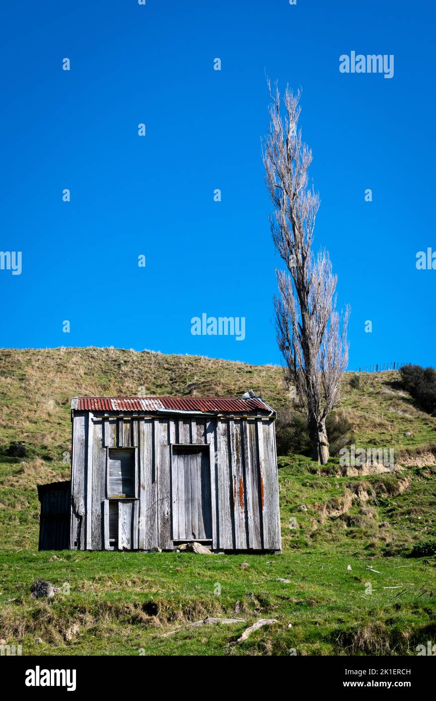 Pohangina Valley, Manawatu, Isola del Nord, Nuova Zelanda Foto Stock