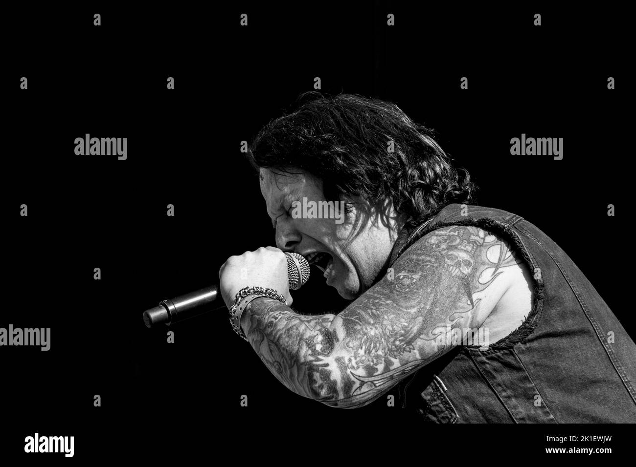 DARK ANGEL HELLFEST Festival, Clisson, FRANCIA , 22/06/2014 Florent 'MrCrash' B. Foto Stock